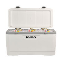 Load image into Gallery viewer, Ice chest/ cooler/ Igloo