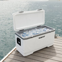 Load image into Gallery viewer, Ice chest/ cooler/ Igloo