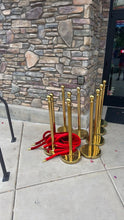 Load image into Gallery viewer, Gold Stanchion and Padded Ropes