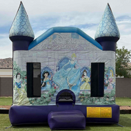 DISNEY PRINCESS CASTLE #2
